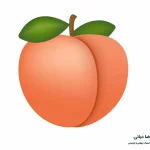 مراقبت های بعد از تزریق چربی به باسن